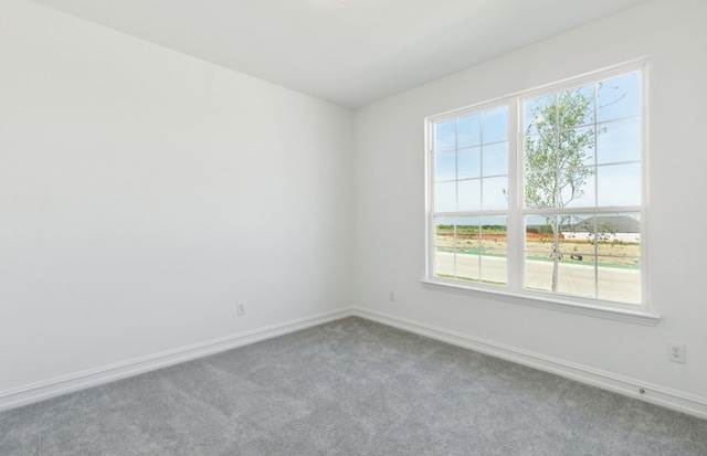 5917 Mayer Ave, Pilot Point, TX 75009 - carpeted spare room with healthy amount of natural light and baseboards