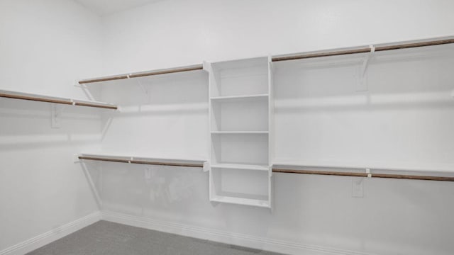 1636 Keneipp Rd, Carrollton, TX 75006 - walk in closet with carpet flooring