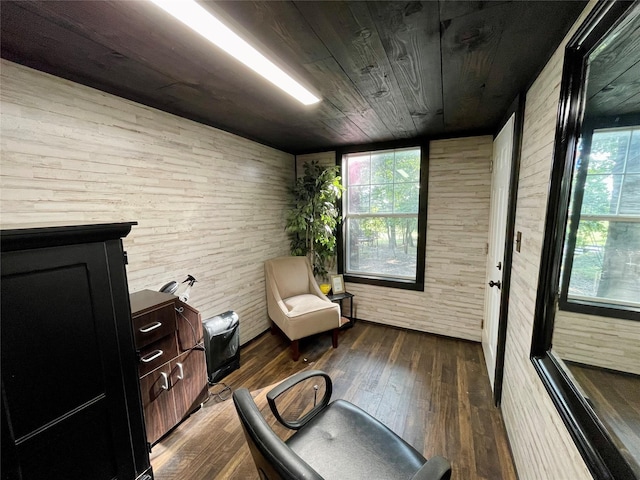 living area with dark wood finished floors, a healthy amount of sunlight, and wooden ceiling