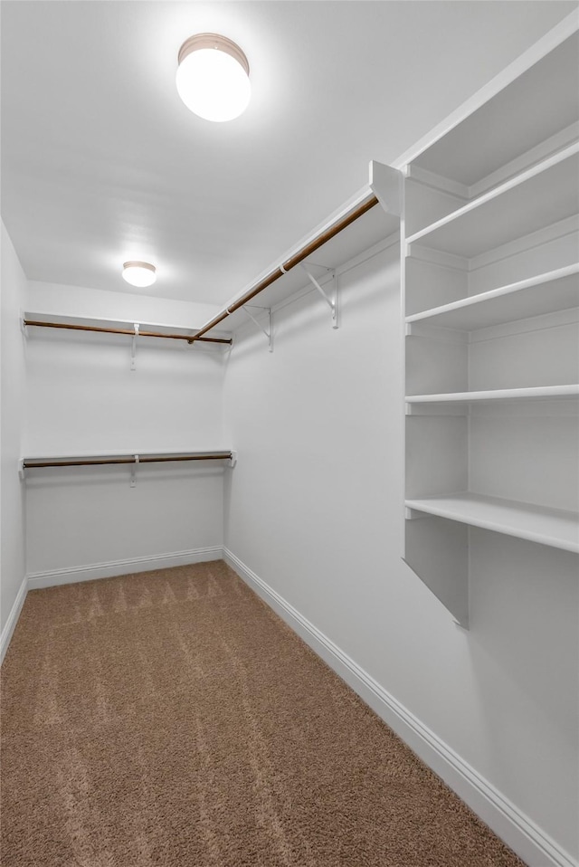 walk in closet with carpet floors