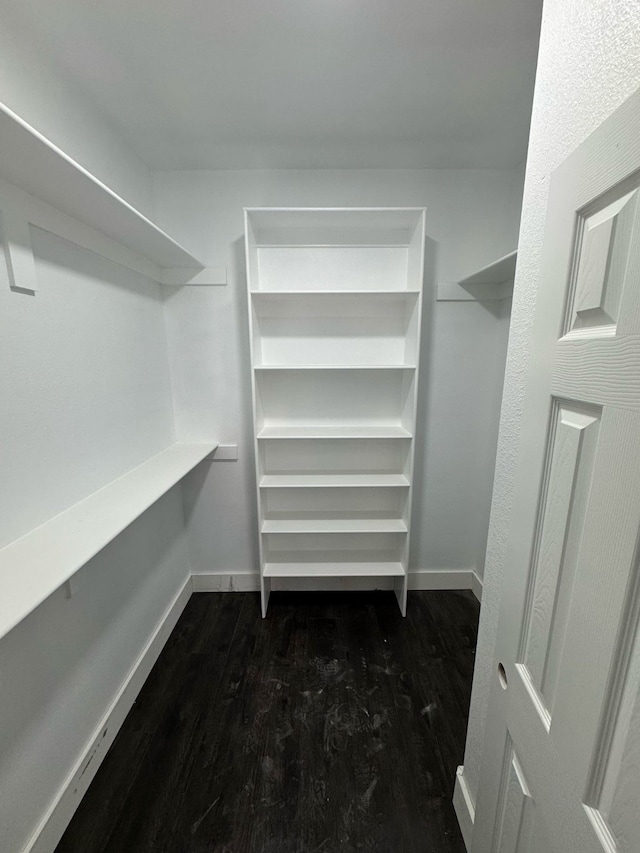 spacious closet with dark wood-type flooring