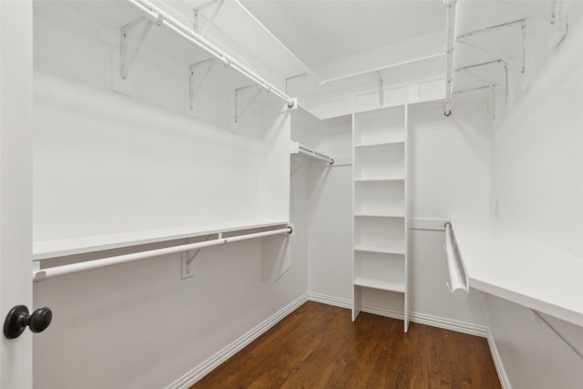 spacious closet featuring dark wood finished floors