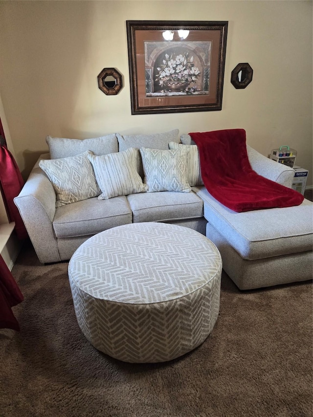 living area featuring carpet floors