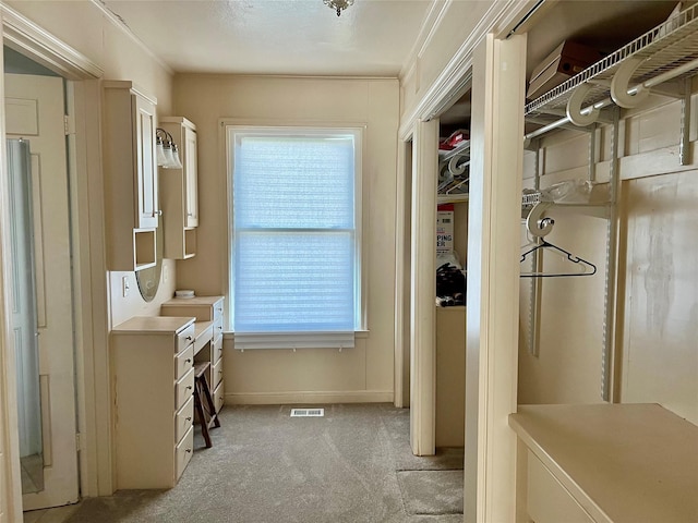 interior space featuring light carpet, visible vents, a wealth of natural light, and baseboards