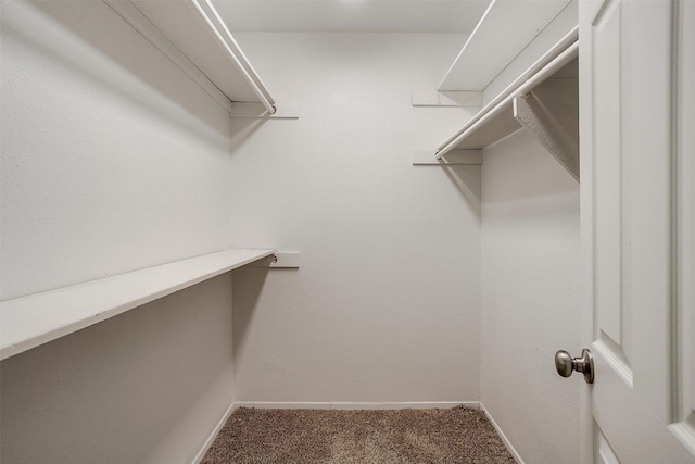 walk in closet featuring carpet floors