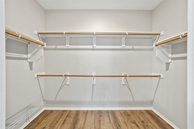 spacious closet featuring wood finished floors