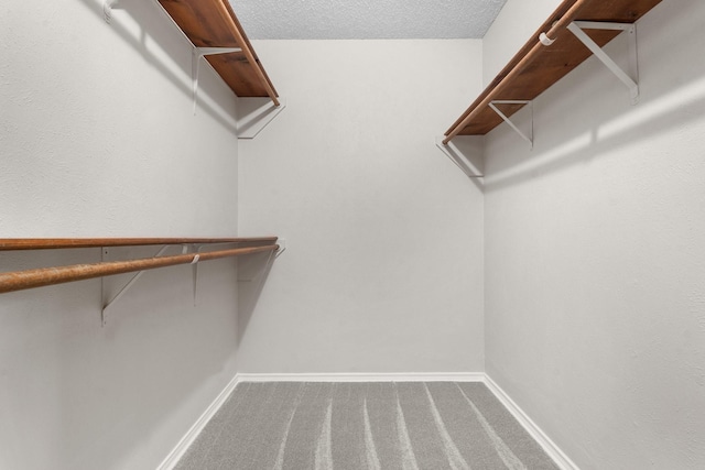 walk in closet with carpet