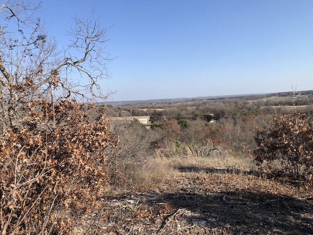 view of landscape with a rural view