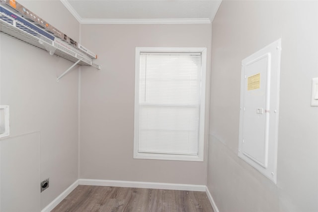 interior space with wood finished floors