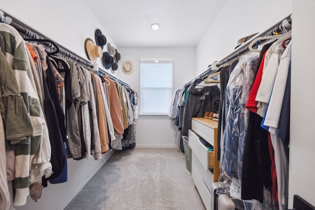 spacious closet with light carpet