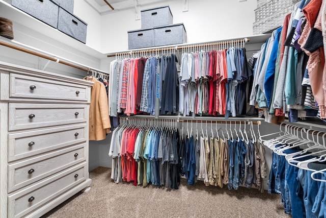 walk in closet with carpet flooring