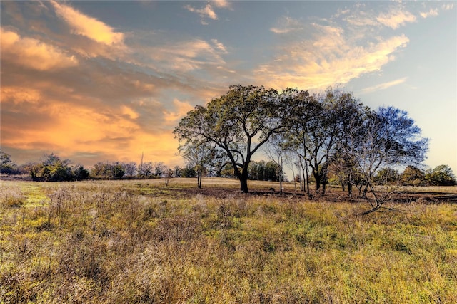 TRACT4 Lazy E Rd, Saint Jo TX, 76265 land for sale