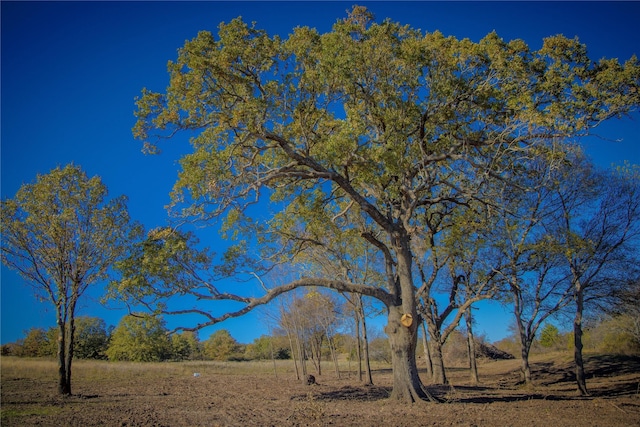 Listing photo 3 for TRACT4 Lazy E Rd, Saint Jo TX 76265