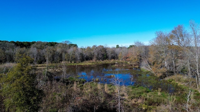 556 Fm 1999, Karnack, TX 75661 - water view featuring a view of trees