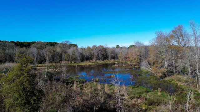 water view featuring a view of trees