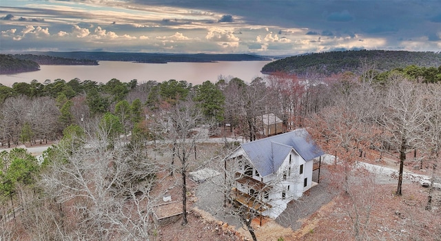 aerial view featuring a water view and a view of trees