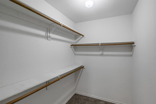 spacious closet featuring dark colored carpet