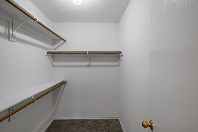 spacious closet with dark colored carpet