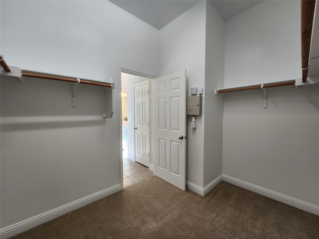 spacious closet featuring light colored carpet