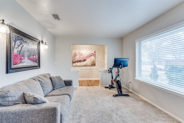 workout area with carpet flooring, visible vents, and baseboards