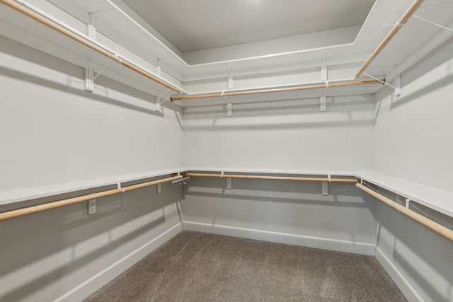 2417 Robin Way, Northlake, TX 76247 - spacious closet with dark colored carpet