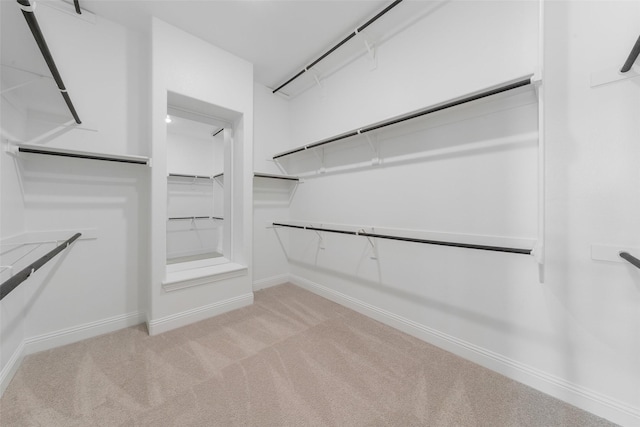 spacious closet featuring light colored carpet