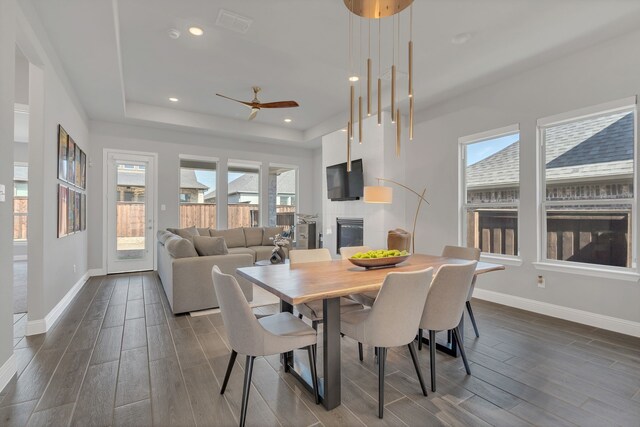 dining room with wood finish floors, a tray ceiling, baseboards, and recessed lighting