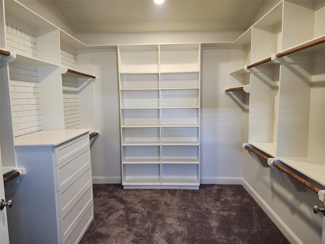 walk in closet with dark colored carpet