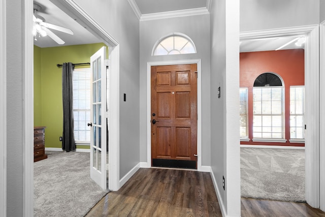 entrance foyer with crown molding, baseboards, dark colored carpet, and a wealth of natural light