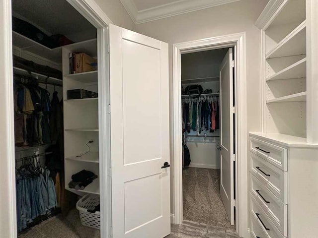 view of spacious closet