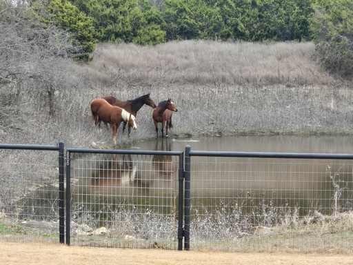 view of stable