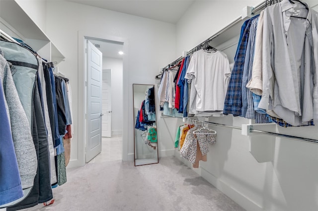 spacious closet with light carpet