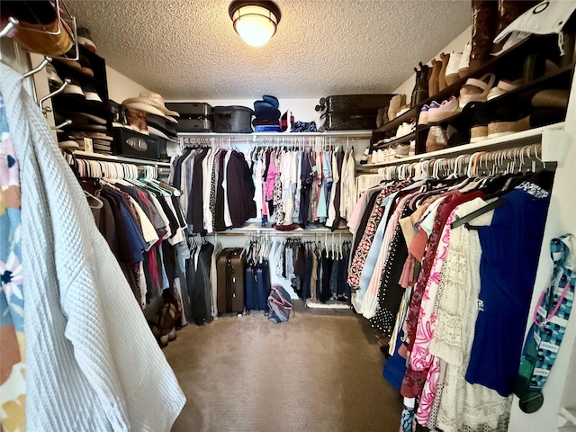 spacious closet with carpet flooring