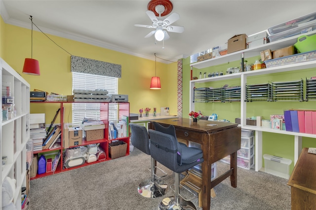 carpeted office featuring ceiling fan and crown molding