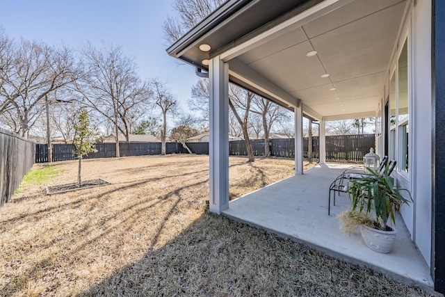 view of yard with a patio area and a fenced backyard