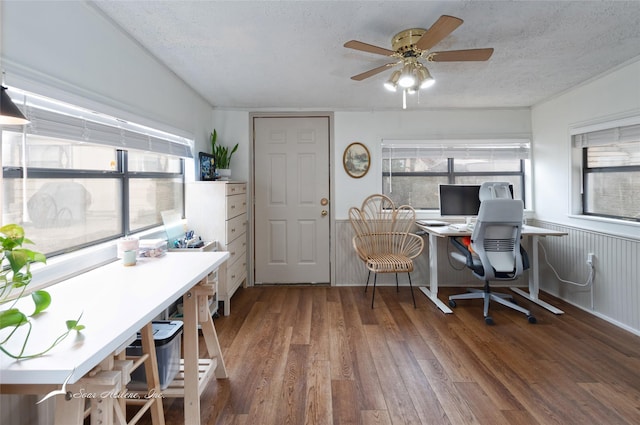 home office featuring dark wood-style floors, a healthy amount of sunlight, and a textured ceiling