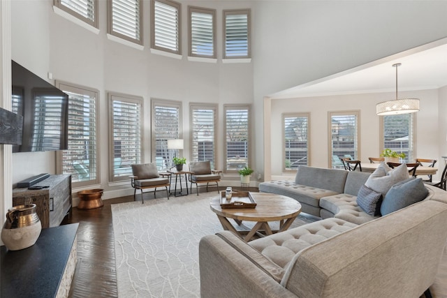 living room featuring crown molding, dark wood finished floors, and a towering ceiling