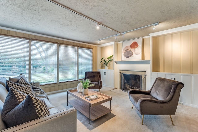 430 Mayrant Dr, Dallas, TX 75224 - carpeted living room featuring a decorative wall, a textured ceiling, a fireplace, and rail lighting