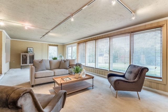 430 Mayrant Dr, Dallas, TX 75224 - living area with rail lighting, light carpet, plenty of natural light, and a textured ceiling