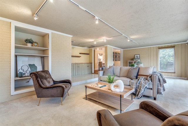 430 Mayrant Dr, Dallas, TX 75224 - living area featuring rail lighting, a textured ceiling, and built in shelves