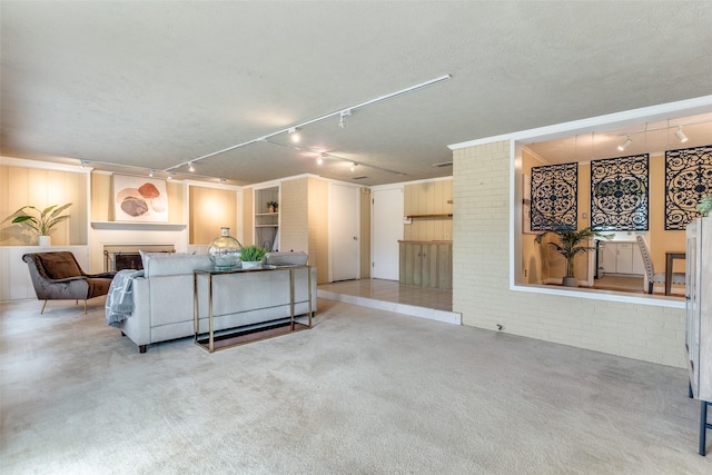 430 Mayrant Dr, Dallas, TX 75224 - living room featuring track lighting, a glass covered fireplace, and brick wall