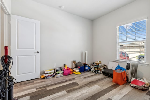 playroom featuring wood finished floors