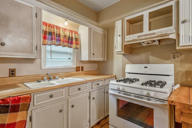 kitchen featuring under cabinet range hood, white gas range, and a sink