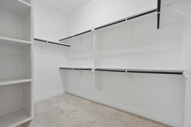 869 Field Xing, Little Elm, TX 76227 - walk in closet featuring carpet floors