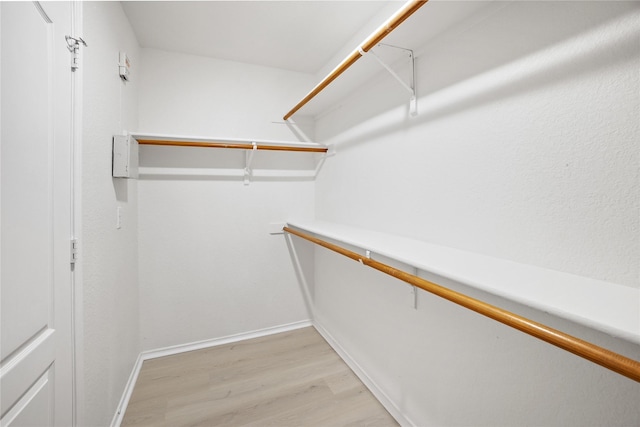 spacious closet featuring light wood-type flooring