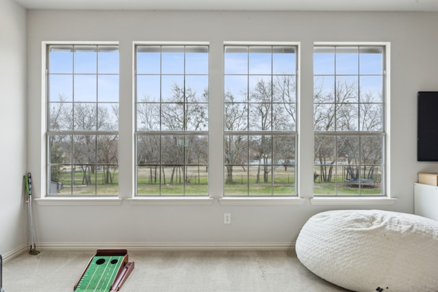 bedroom featuring baseboards and carpet