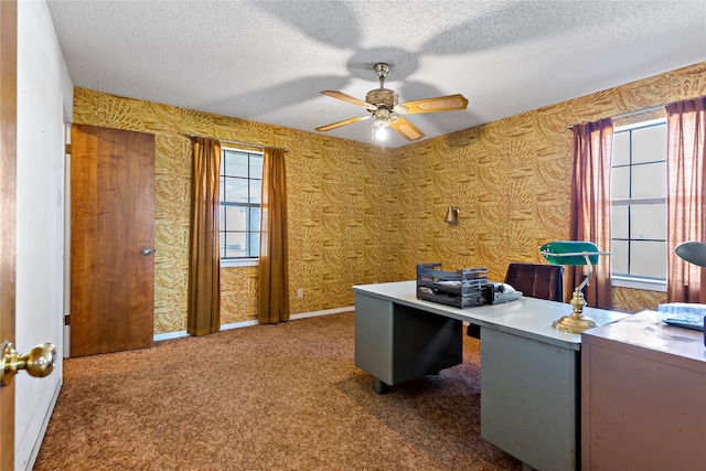 home office with carpet floors, wallpapered walls, ceiling fan, and a textured ceiling