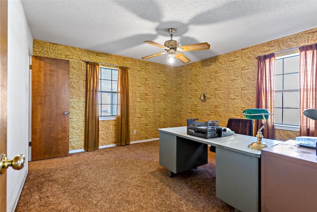 735 State Highway 37 N, Clarksville, TX 75426 - home office featuring a textured ceiling, ceiling fan, a wealth of natural light, and carpet floors