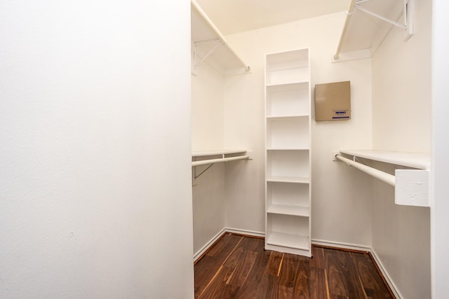 walk in closet featuring dark wood finished floors