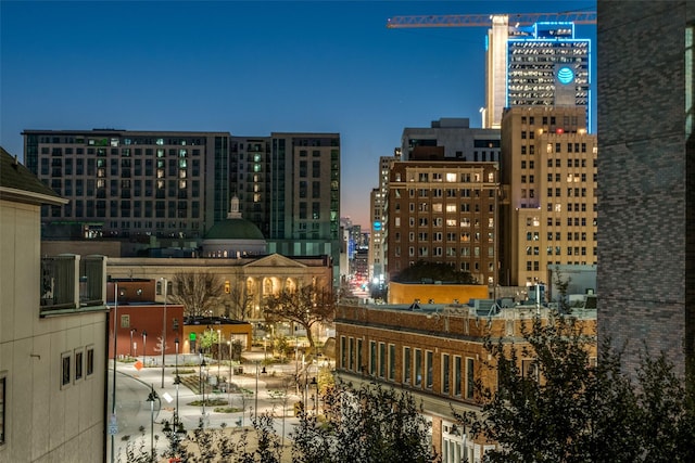 2111 Albany St, Dallas, TX 75201 - view of city